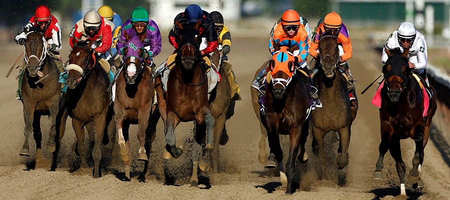 2021 Belmont Stakes Betting Update New Contenders Rise Up Mybookie