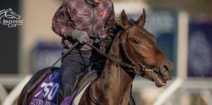 Which Horse has the Best Odds to Win the Breeders’ Cup