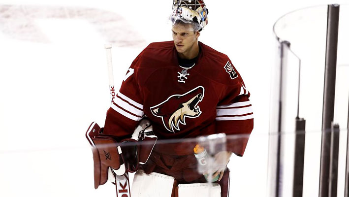 arizona-coyotes