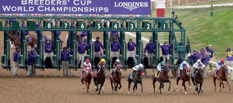 Breeders' Cup Top Winners in the Horse Racing History & Contenders for 2024