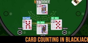 MyBookie Has Your Back with Casino Knowledge: Card Counting in Blackjack: Myth or Profitable Strategy?