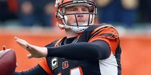 Feature image bengals-vs-steelers-nfl-playoff-odds
