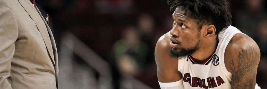 Is South Carolina a safe NCAAB betting pick on Wednesday?